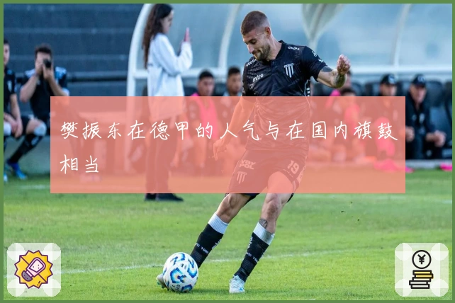 樊振东在德甲的人气与在国内旗鼓相当