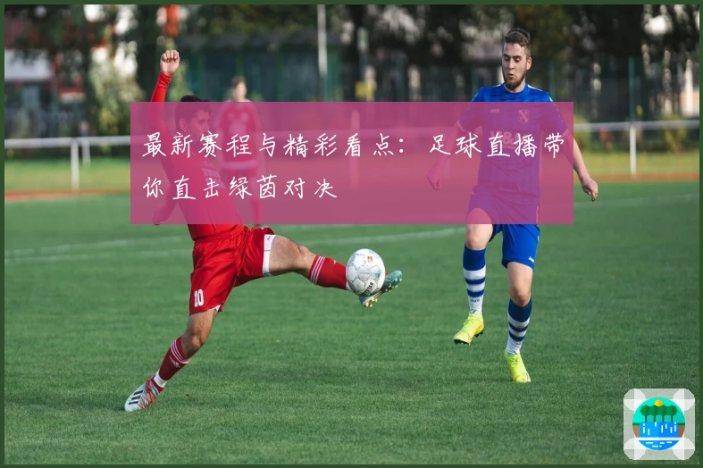 最新赛程与精彩看点：足球直播带你直击绿茵对决