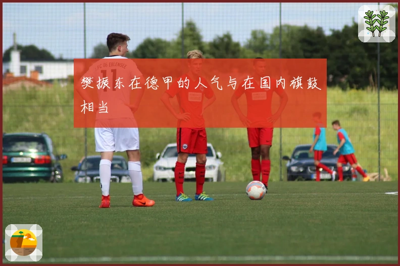 樊振东在德甲的人气与在国内旗鼓相当