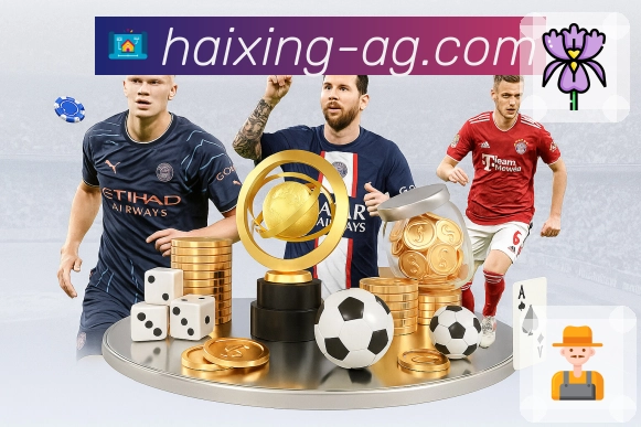 体育直播入口集合访问更方便用海星体育直播官网